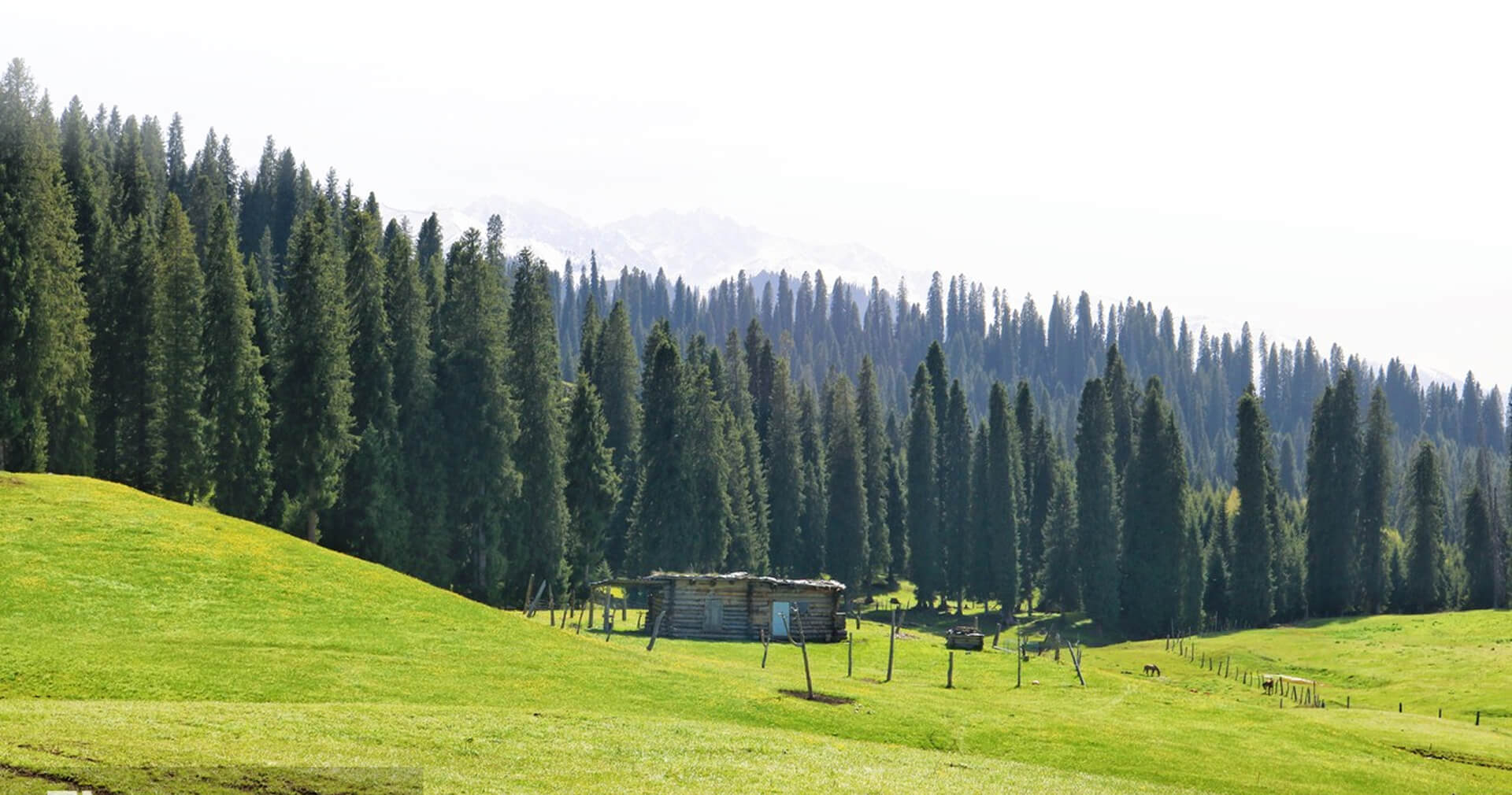 f4_bg02.jpg